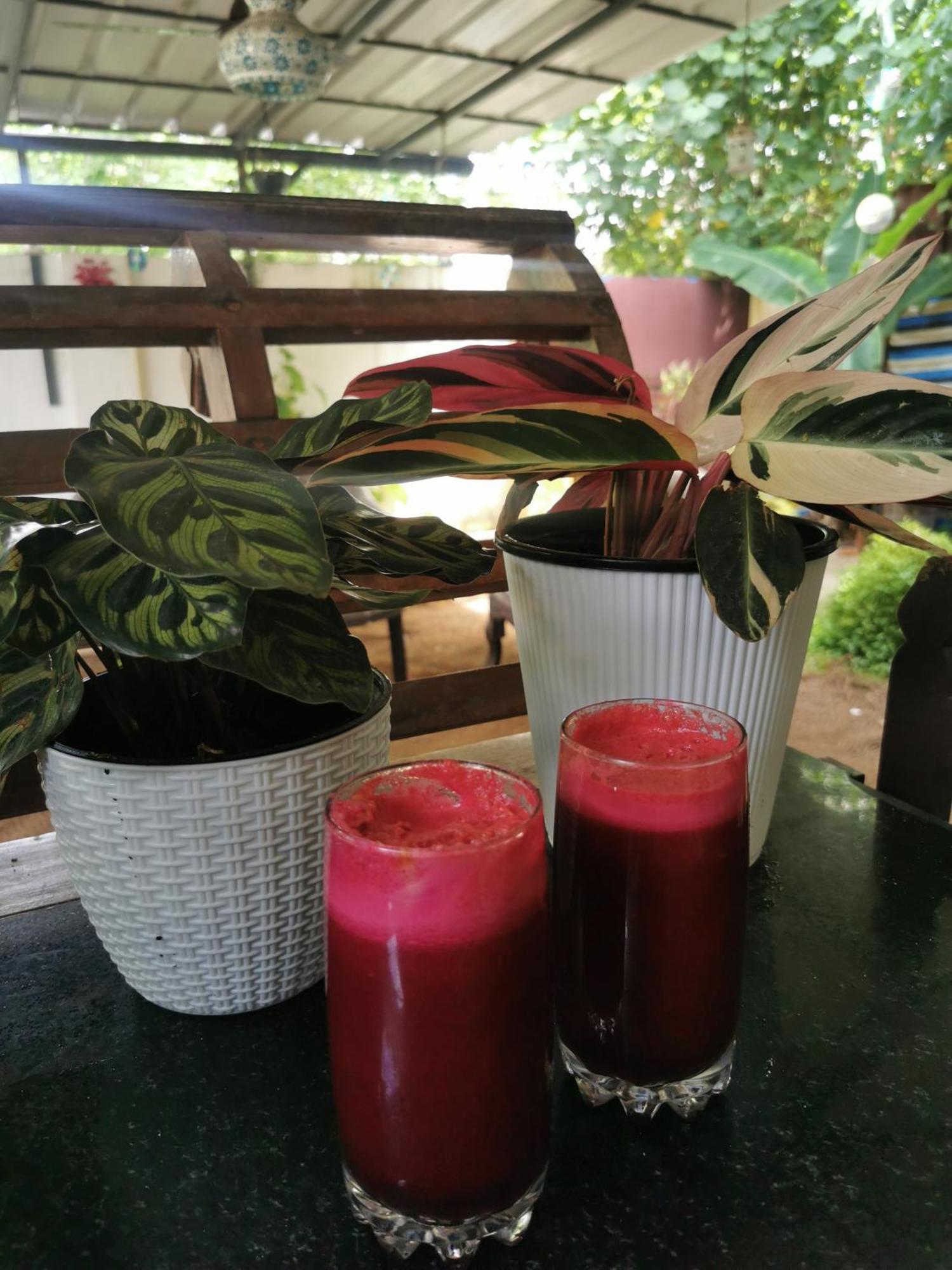 Jeehaa Homestay Alappuzha 외부 사진