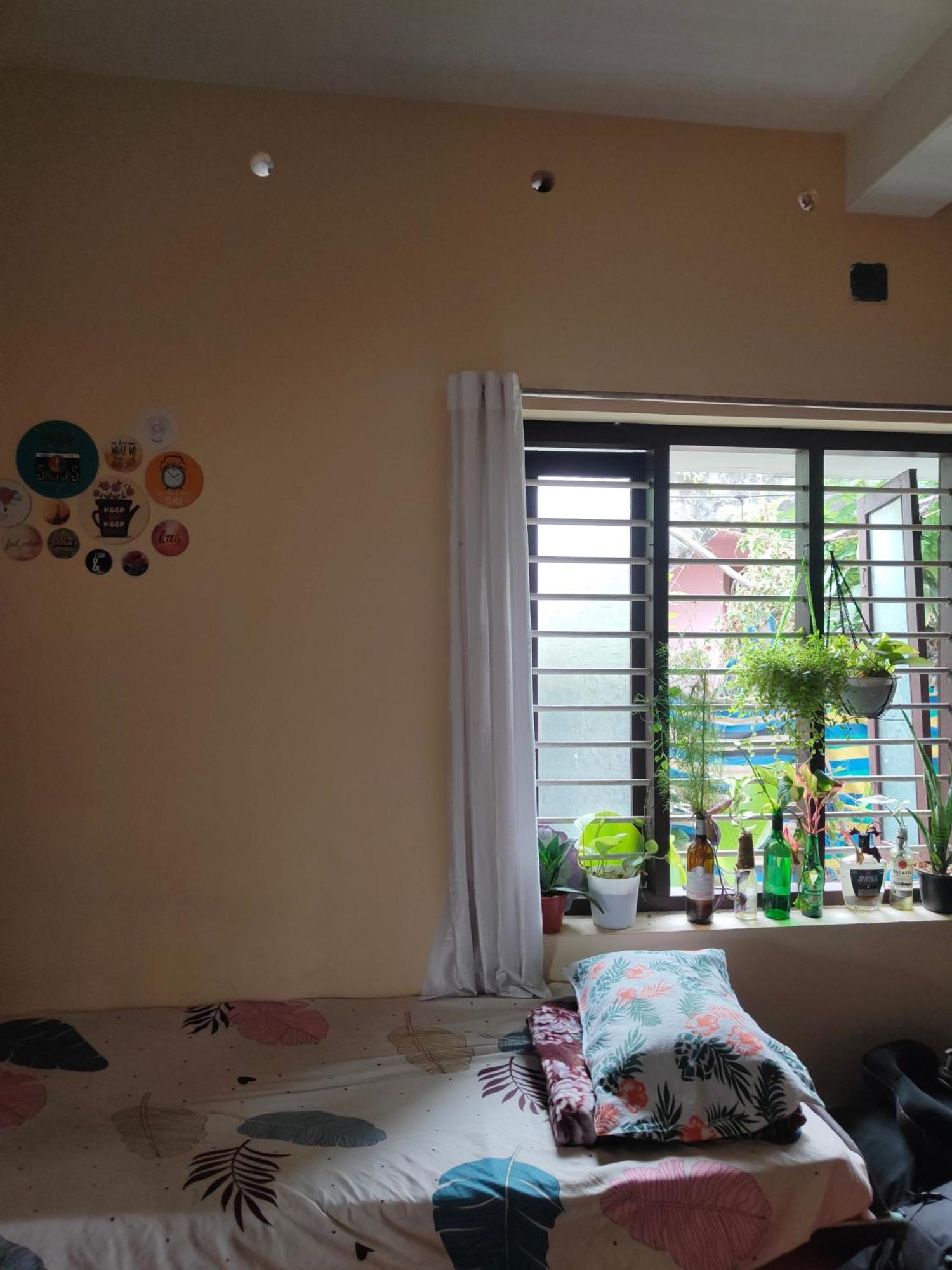Jeehaa Homestay Alappuzha 외부 사진