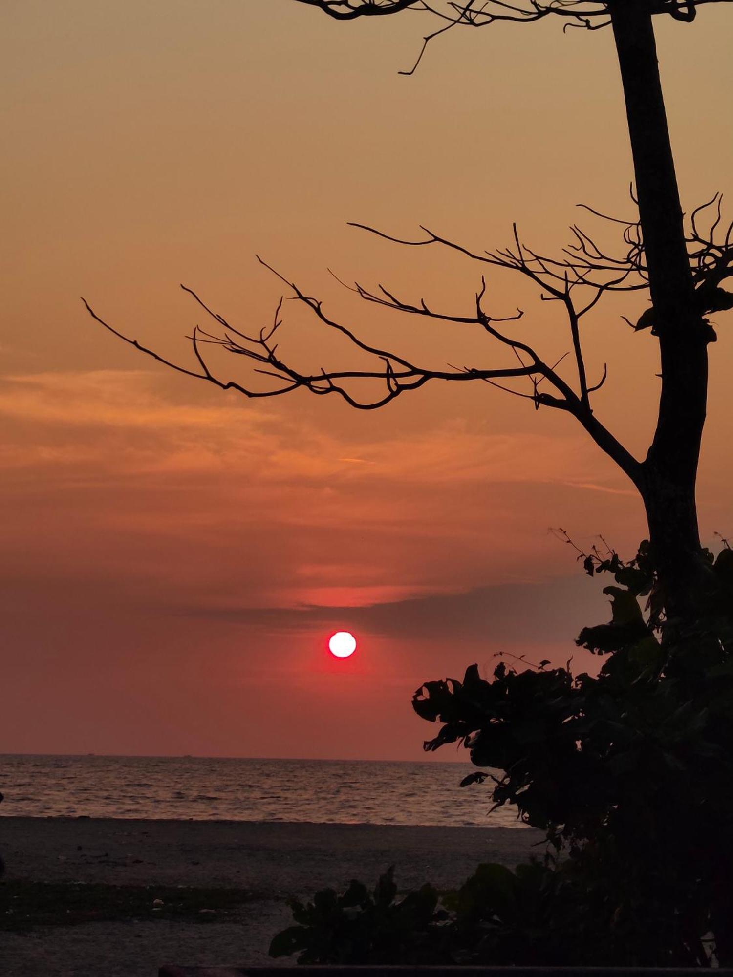 Jeehaa Homestay Alappuzha 외부 사진